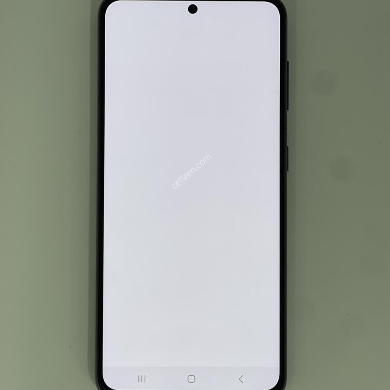 ������s21 ���۱� ����ǰ�� �������� ������ 22.9��(ȭ��Ʈ)