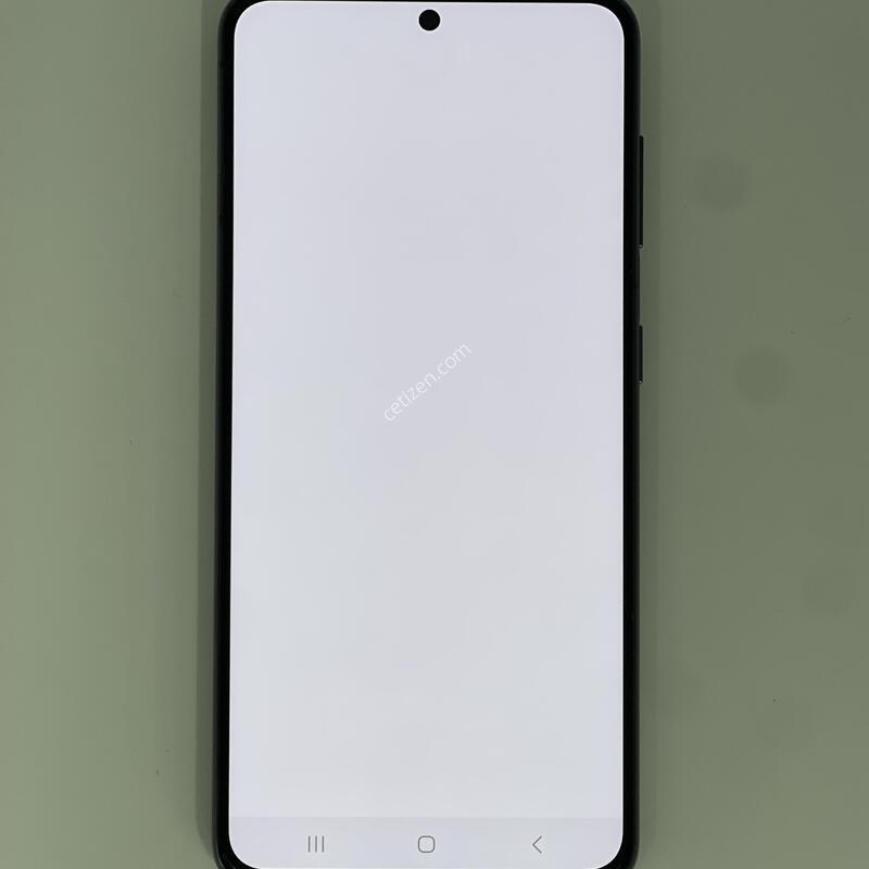 ������s21 ���۱� ����ǰ�� �������� ������ 22.9��(ȭ��Ʈ)