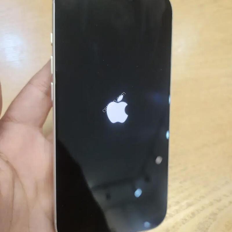 ������17�����˴ϴ�