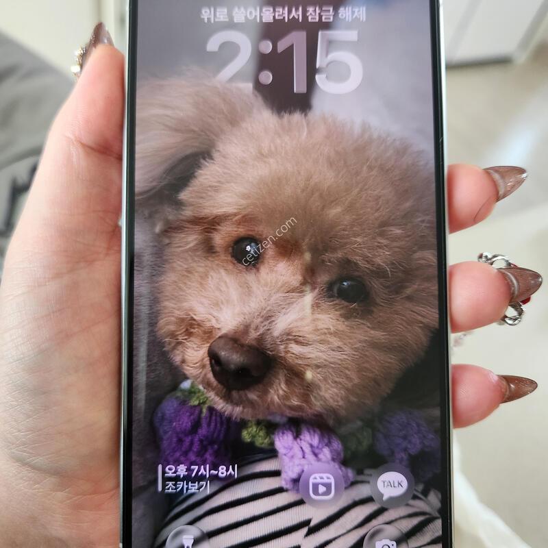 ������16���� 256GB ȭ��Ʈ �Ǹ��ؿ�