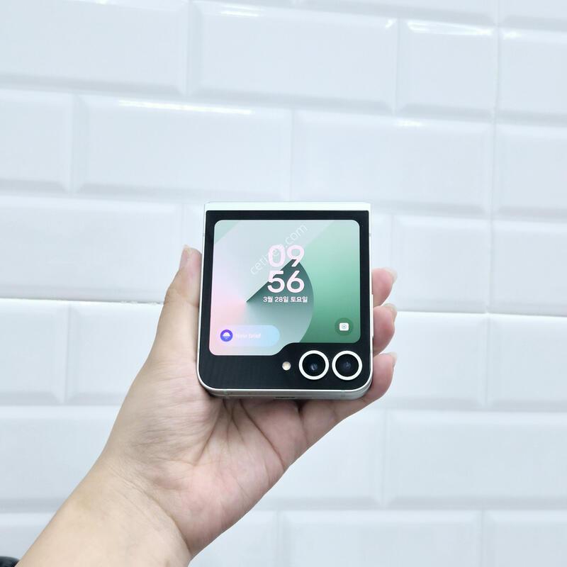 ������Z�ø�6 ��Ʈ 256GB