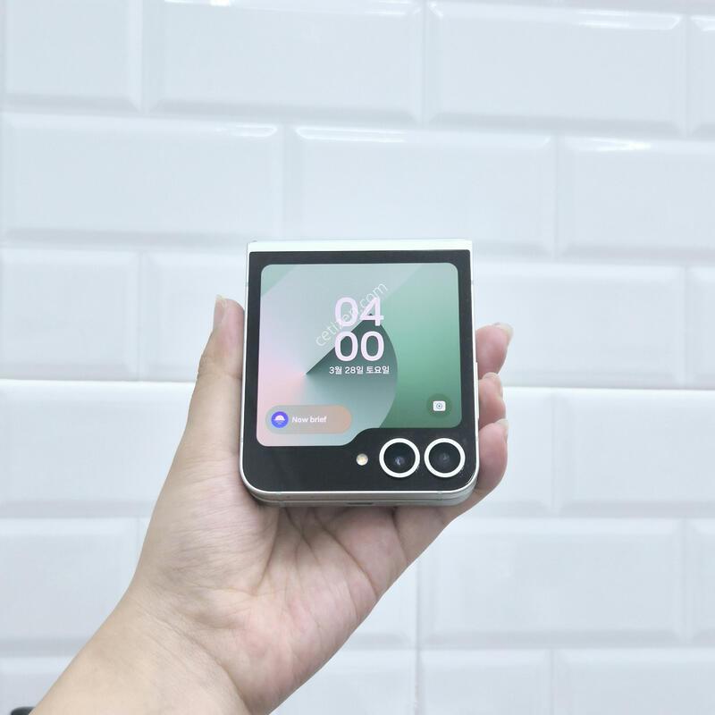 ������Z�ø�6 ��Ʈ 256GB