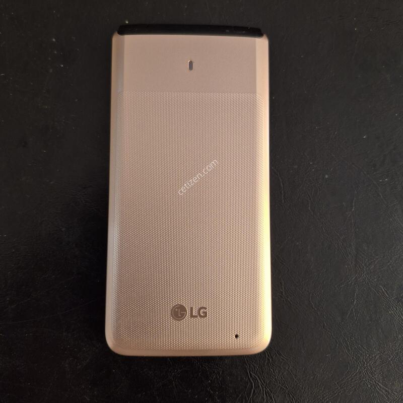Y110L