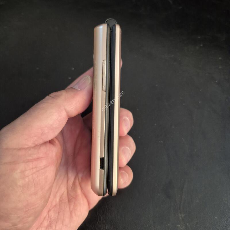 Y110L