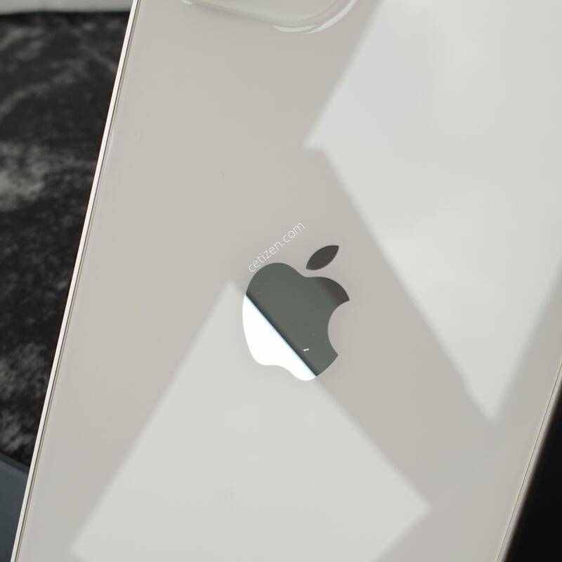 ������12�̴� (A2399) ȭ��Ʈ 256�Ⱑ