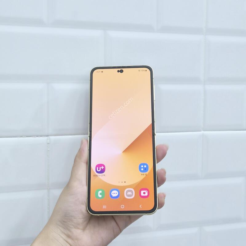 ������Z�ø�6 ���ο� 256GB
