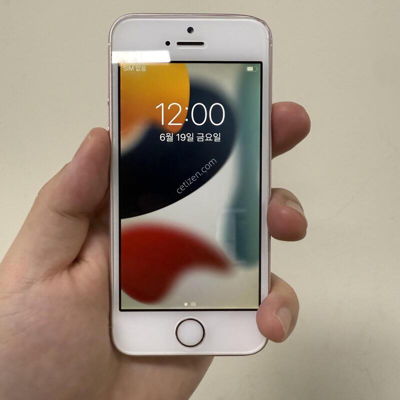 ������SE1 ��ũ��� 64G