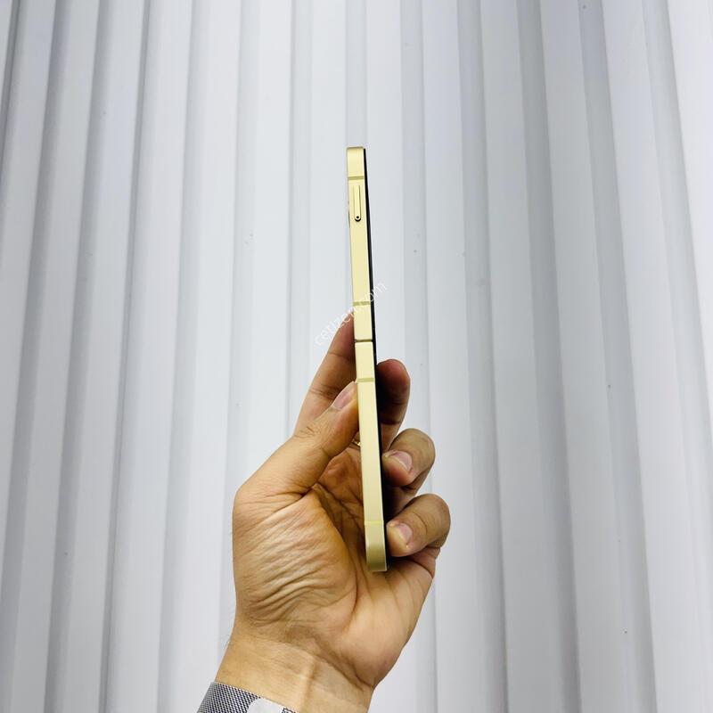 ������Z�ø�6 ���ο� 256GB