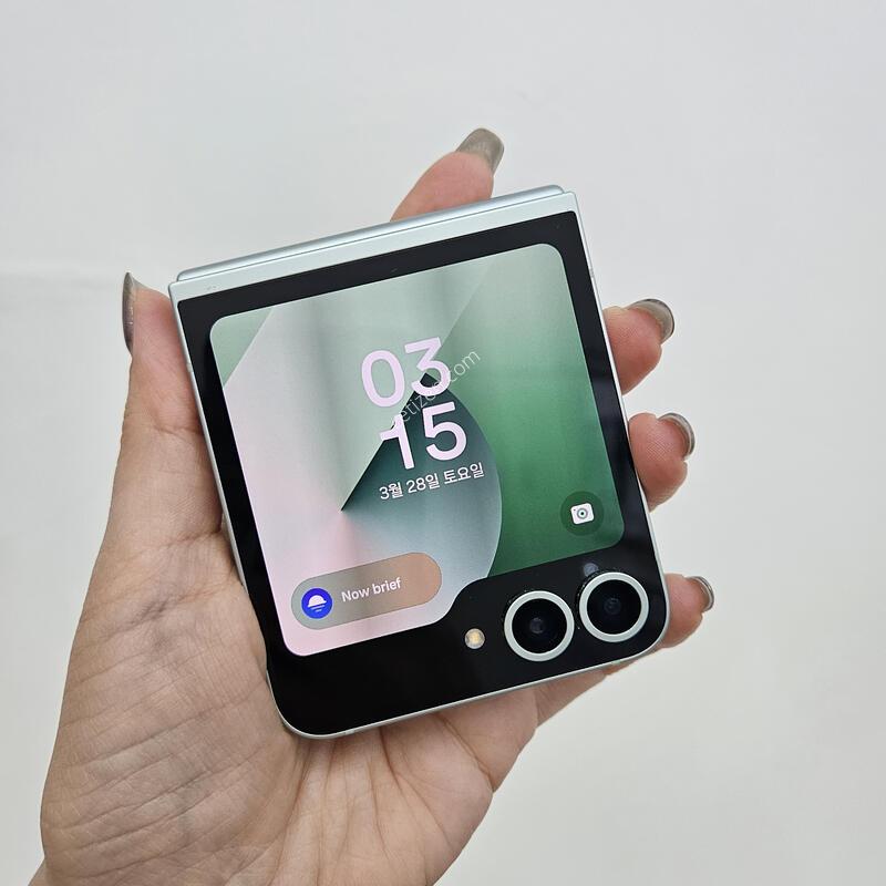 �ø�6 ��Ʈ 25��3������ 36012