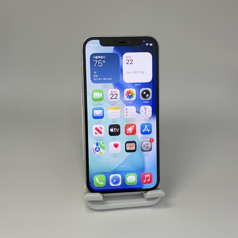 (219) ���͸�100 ������12�̴� 128G ȭ��Ʈ A��