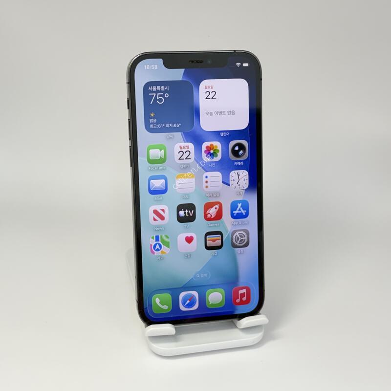 (220) ���͸�91 ������12���� 128G �׷�����Ʈ A+��
