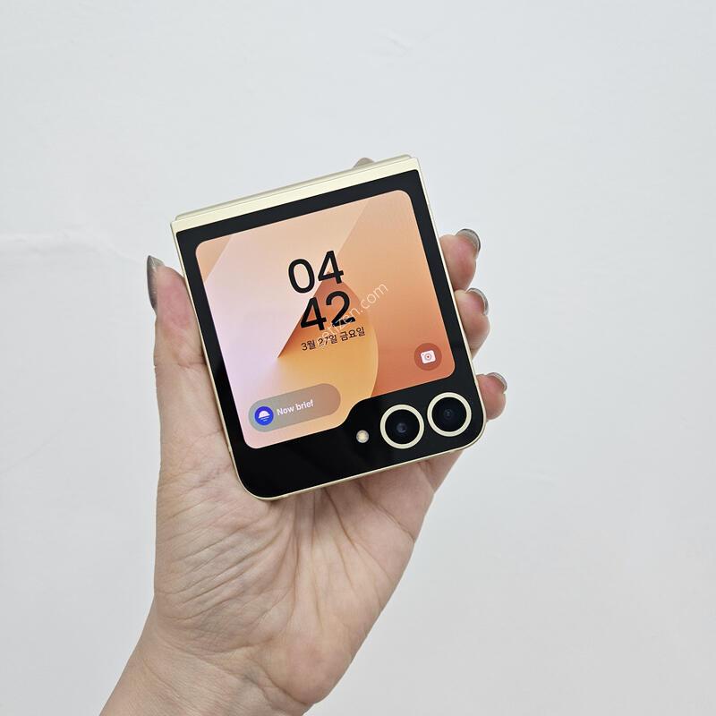 �ø�6 ����24��12�� 35795