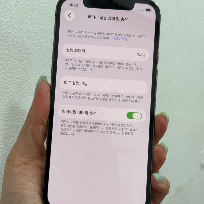 A��/Ǯ��)������12���� �׶�����Ʈ 256GB/94% Y1984