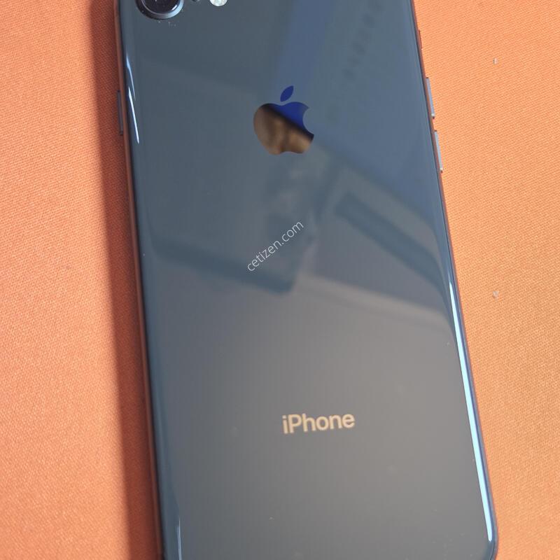 ������8.256GB���͸�100%