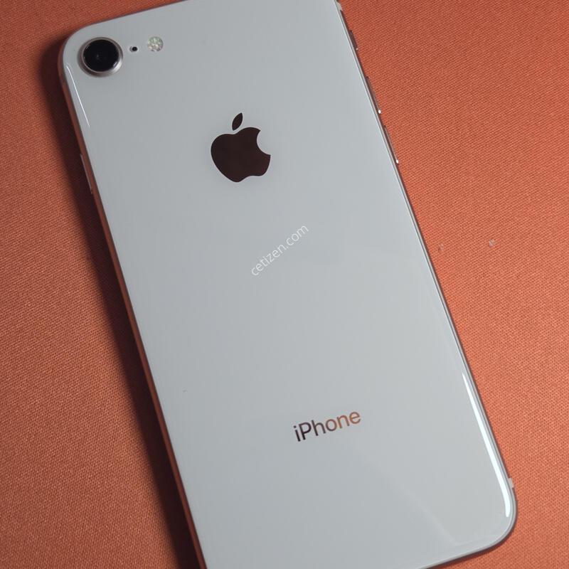 ������8.256GB���͸�100%