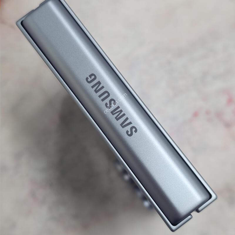 �ø�6 256GB ���� �ڱ���