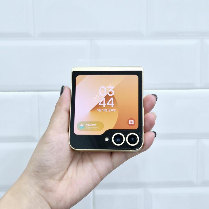 ������Z�ø�6 ���ο� 256GB
