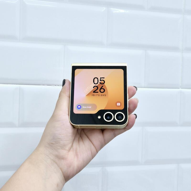 ������Z�ø�6 ���ο� 256GB