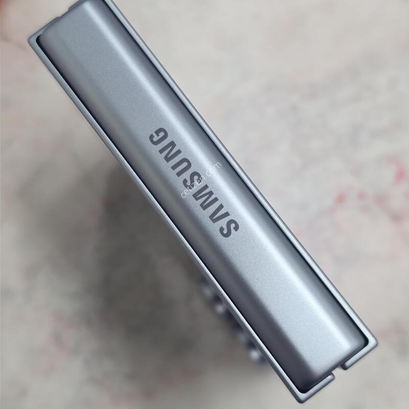 �ø�6 256GB ���� �ڱ���