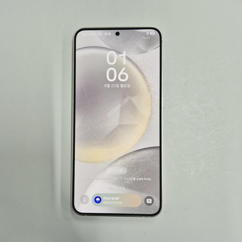 ������S24�÷��� �ǹ� 256GB