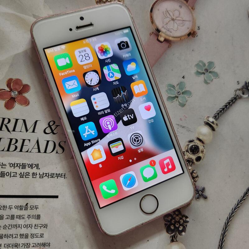 ���� ������se1  64GB ������ ���͸�100%