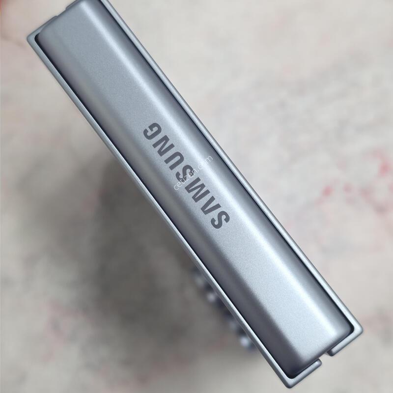 �ø�6 256GB ���� �ڱ���