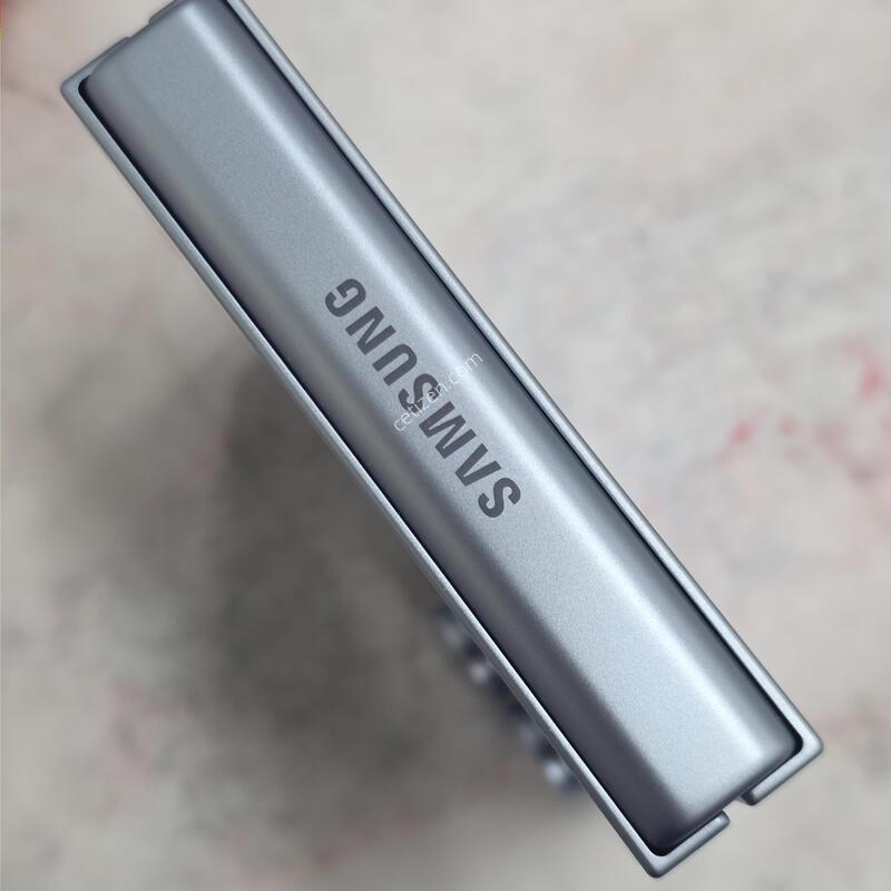 �ø�6 256GB ���� �ڱ���