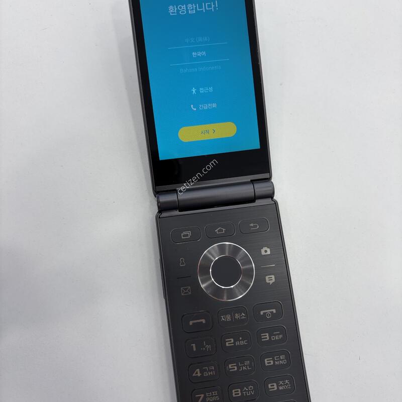 �Ｚ ����������2 2021���� �׷��� A-��