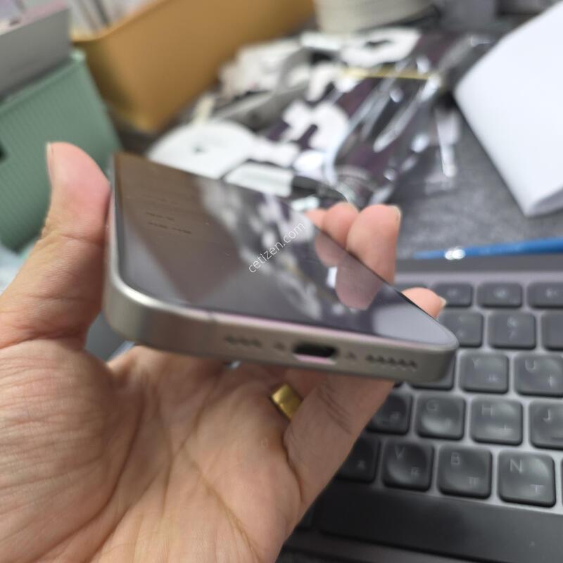 (6619)������15����