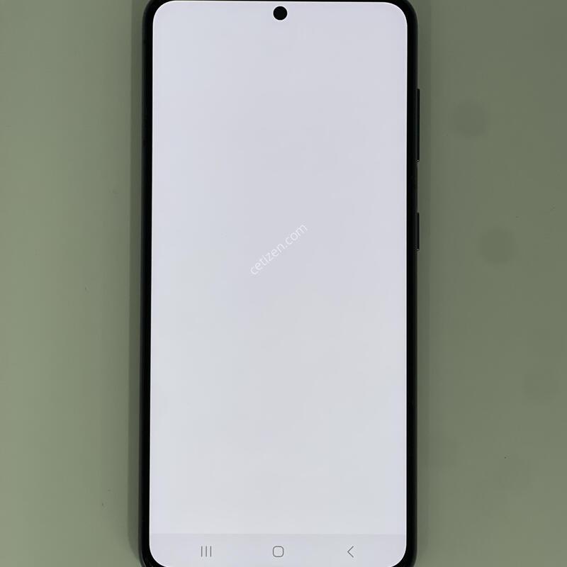 ������s21 ���۱� ����ǰ�� �������� ������ 22.9��(ȭ��Ʈ)