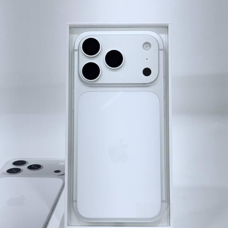 ����Ŭ149)������17���� �ǹ� 256GB/100% Y2008