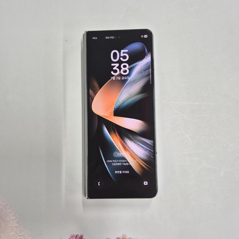 ����������4 �׷��̱׸� 256GB