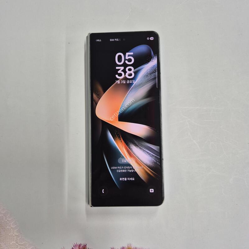 ����������4 �׷��̱׸� 256GB