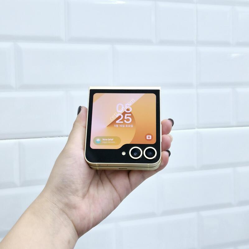 ������Z�ø�6 ���ο� 256GB