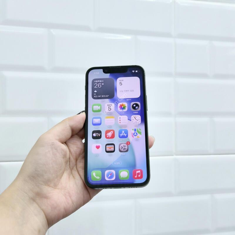 ������13�̴� �׸� 256GB