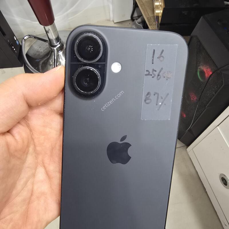 ������16 256GB ���͸����� 87%