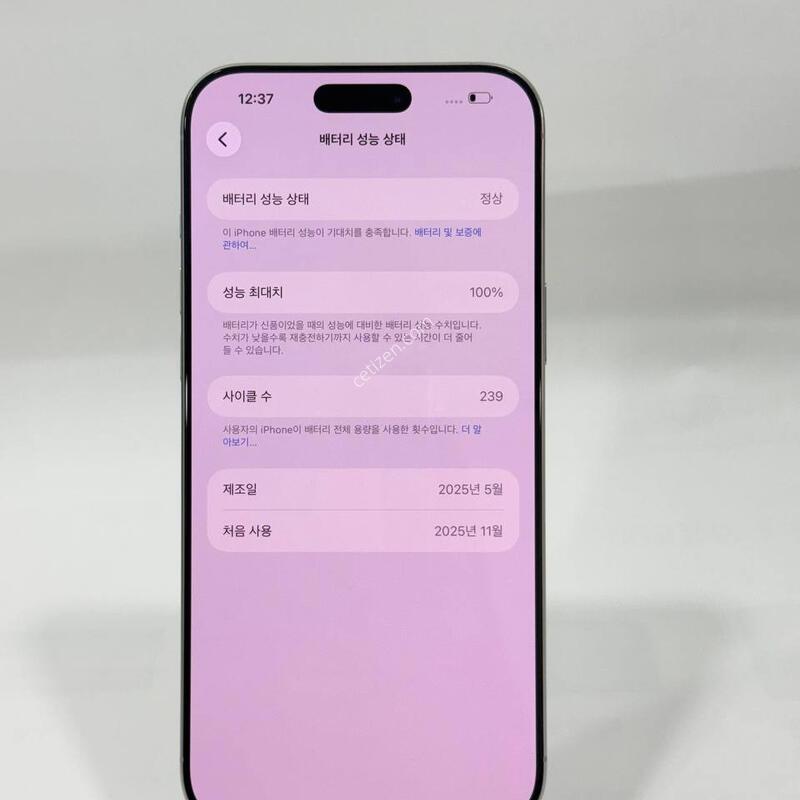 ����Ŭ239)������16���θƽ� ȭ��Ʈ 256GB/100% Y2025
