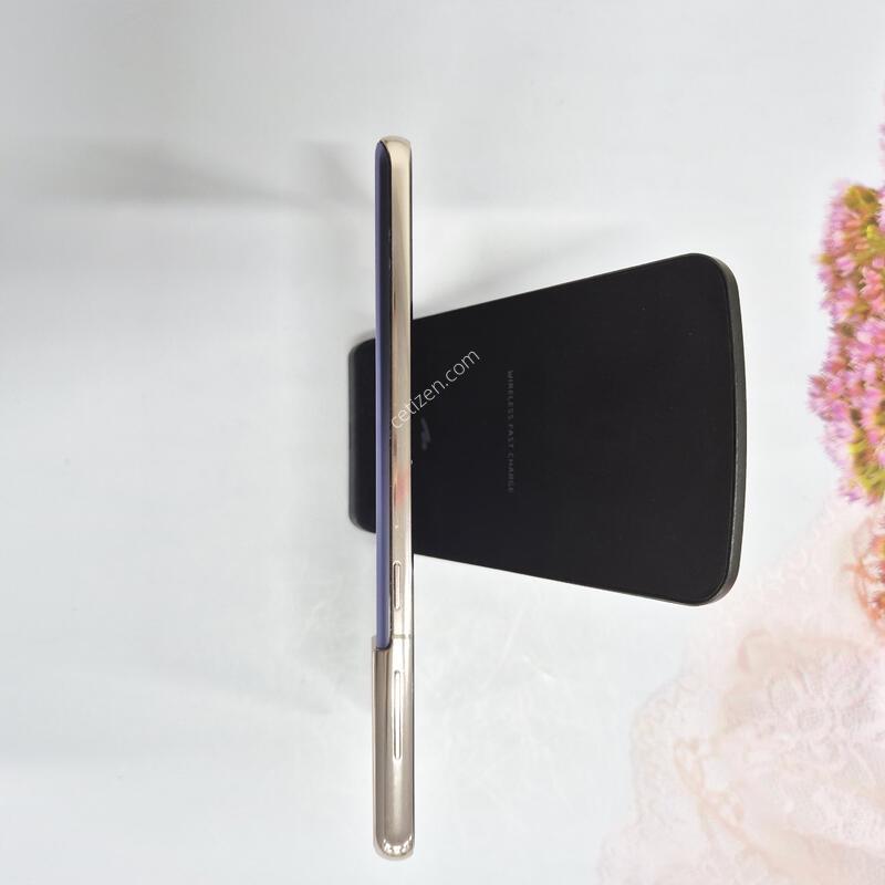 ������S21�÷��� ���̿÷� 256GB