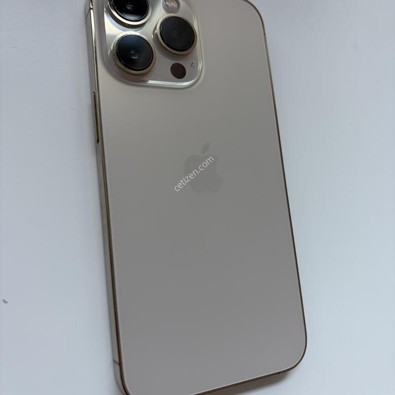 ������ 13����
