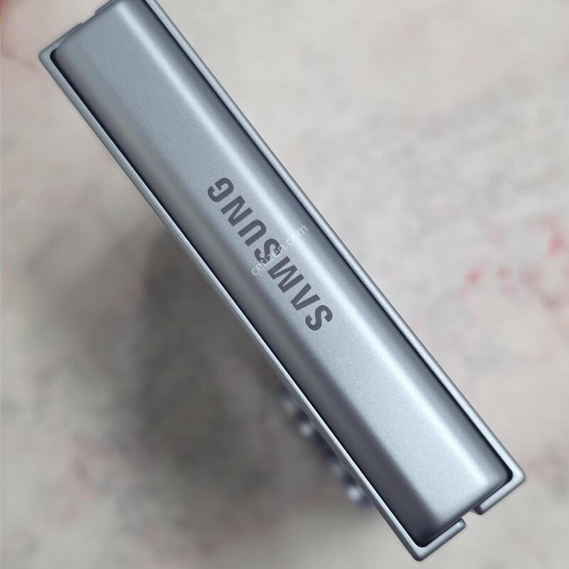 �ø�6 256GB ���� �ڱ���