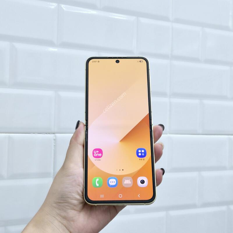 ������Z�ø�6 ���ο� 256GB