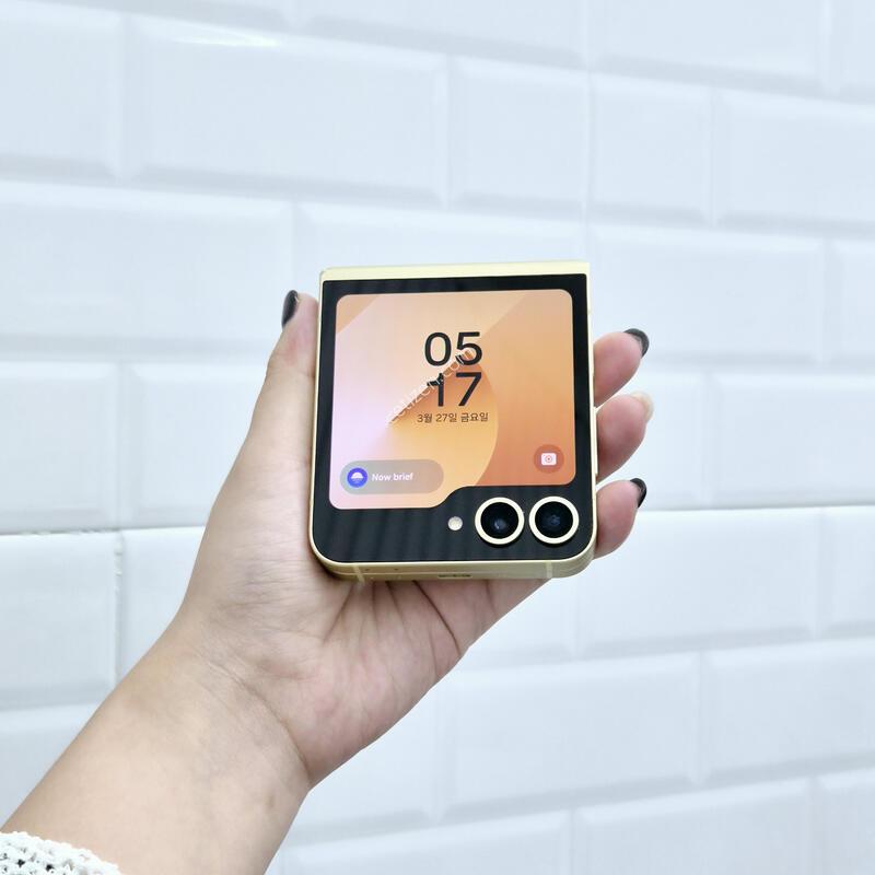 ������Z�ø�6 ���ο� 256GB