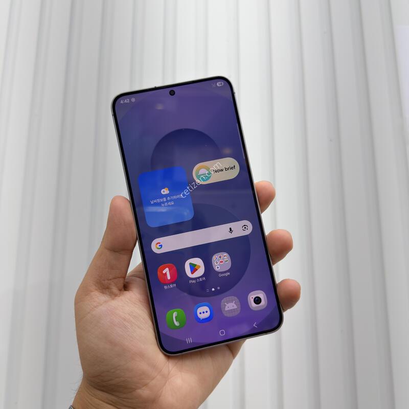 ������S25�÷��� 256GB �ǹ�