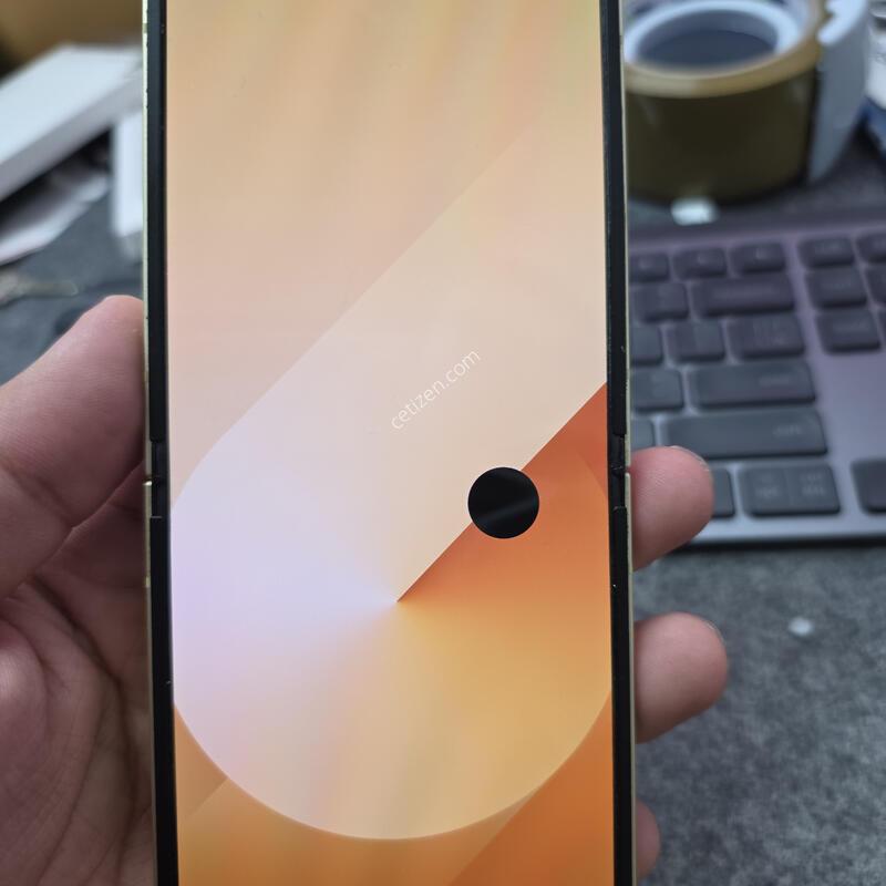 (2129)�ø�6