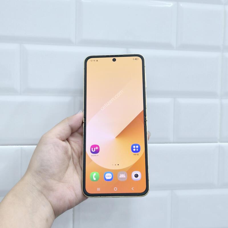������Z�ø�6 ���ο� 256GB