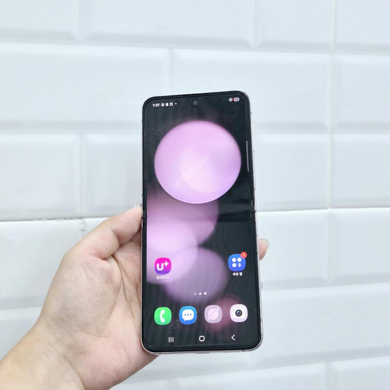 ������Z�ø�5 �󺥴� 256GB