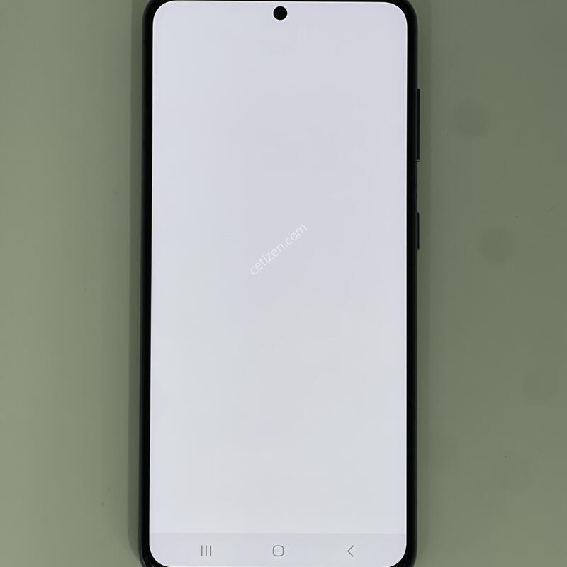 ������s21 ���۱� ����ǰ�� �������� ������ 22.9��(ȭ��Ʈ)