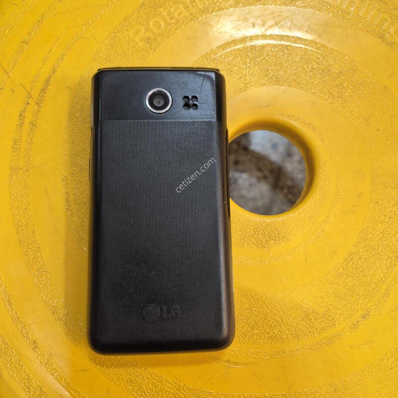 Y110L