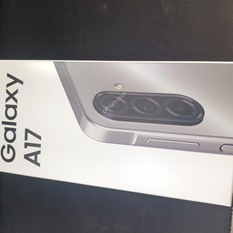������ A175 Ǯ�ڽ�