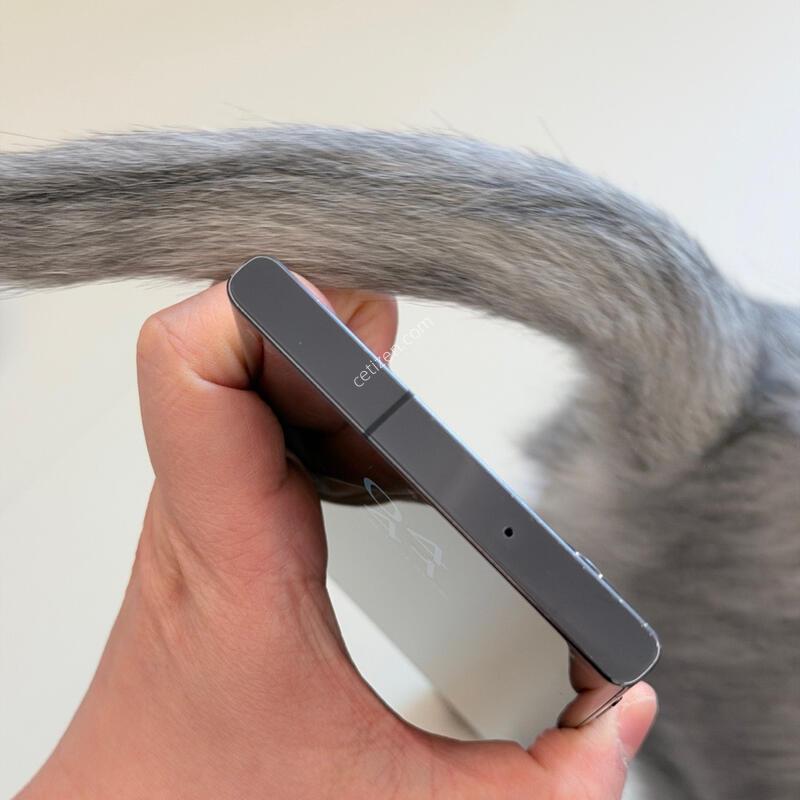 S23��Ʈ�� 256�Ⱑ ����